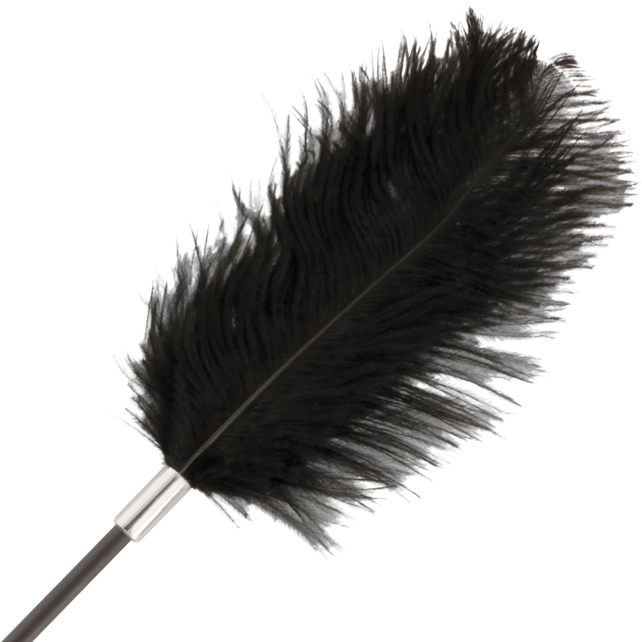DARKNESS - Dobbeltsidet ridepisk med stimulerende fjer, 56cm